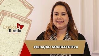 Explica Direito Filiação Socioafetiva  2019 [upl. by Lunn]